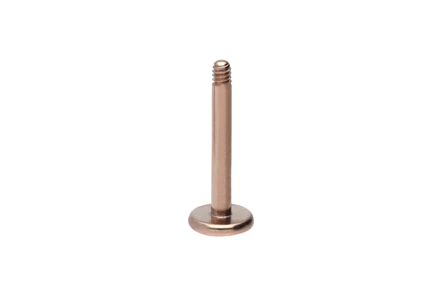 Titan Labret Piercing ohne Kugel